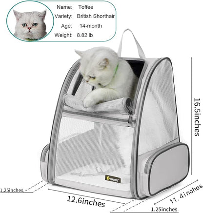Texsens Pet Backpack Carrier for Small Cats Dogs | Ventilated Design, Safety - Image 2