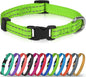 Joytale Small Dog Collar, Reflective and Adjustable Nylon Collar by Joytale