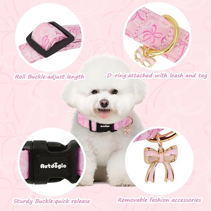 Large Dog Collar, Girl Boy Dog Collars - Image 2