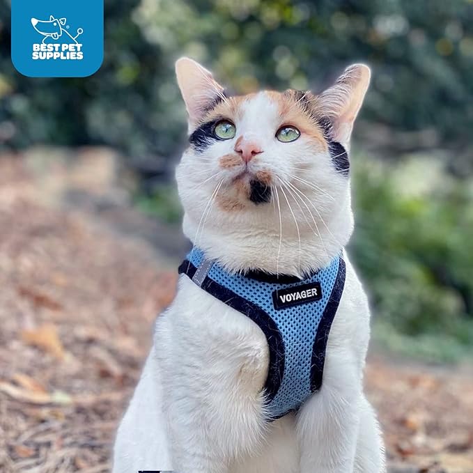 Best Pet Supplies Voyager Step-in Air Harness - Image 9