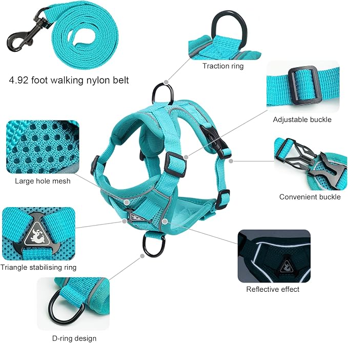 Escape Proof Kitten Harness and Leash Set - Image 2