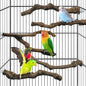 kathson 5pcs Natural Parrot Perch by kathson