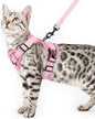 Cat Harness and Leash Set Escape Proof Tactical Small Kitten Harness Emotional by pangdi