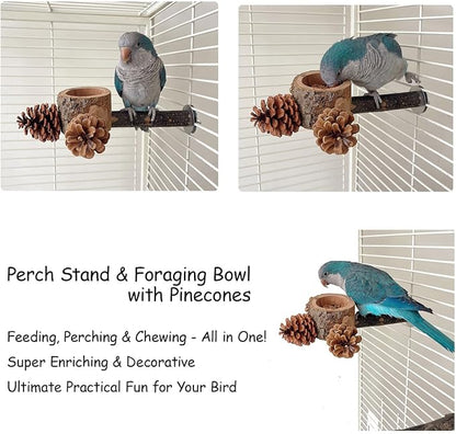 Bird Perch with Feeder for Cage & Chew Toys Pinecones - Image 5