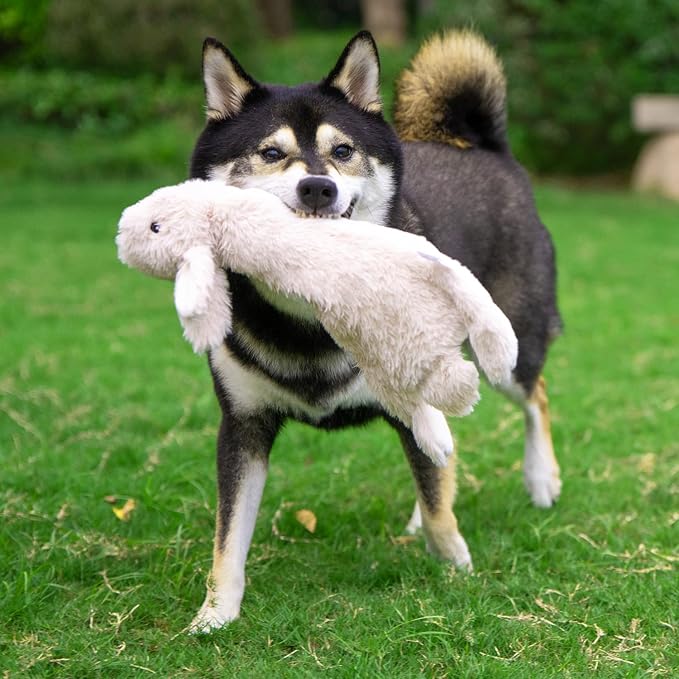 Best Pet Supplies Squeaky Dog Toys - Image 10