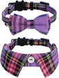 Faleela 2 Pack/Set Cat Collar by Faleela