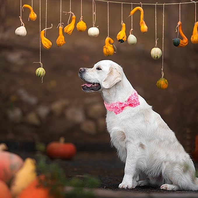 Dog Collar - Image 6