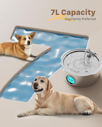 Dog Water Fountain for Large Dogs: Big Cat Water Fountain Stainless Steel - Image 4