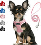 PetiFine Step in Small Dog Harness and Leash Set, Breathable All Weather Air by PetiFine