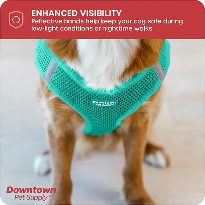 Downtown Pet Supply Step in Dog Harness No Pull, Bermuda Blue - Image 7