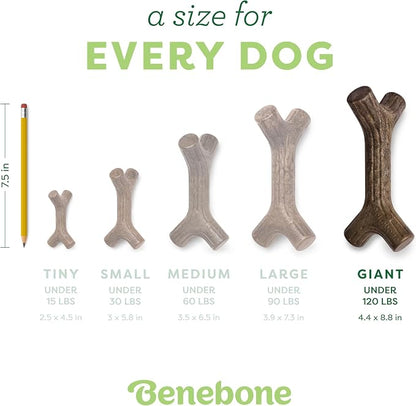 Benebone Bacon Stick Durable Dog Chew Toy - Image 4