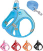 XS Blue Soft Mesh Dog Harness and Leash Set, No Escape Puppy Harnesses by Unknown
