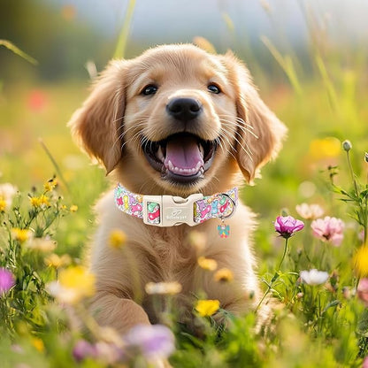 Easter Dog Collar for Small Dogs - Image 7