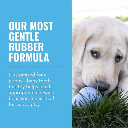 KONG Puppy - Natural Teething Rubber Chew Toy - Image 4