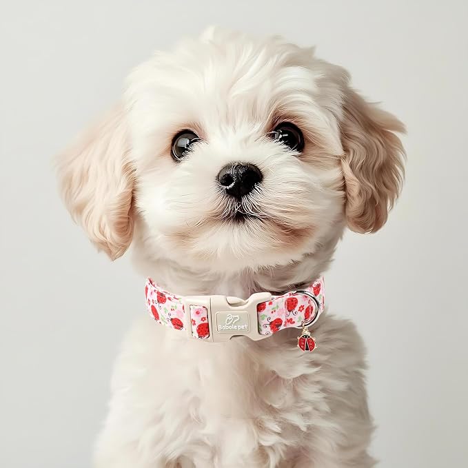 Lucky Ladybug Dog Collar for Large Dogs - Image 5