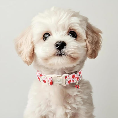 Lucky Ladybug Dog Collar for Giant Large Dogs - Image 5