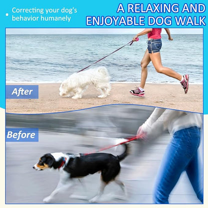 Tangle-Free 360° Swivel Collar - Image 7