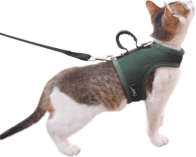 Cat Harness and Leash for Walking Escape Proof Breathable Mesh Fabric, Solid by Yizhi+Miaow