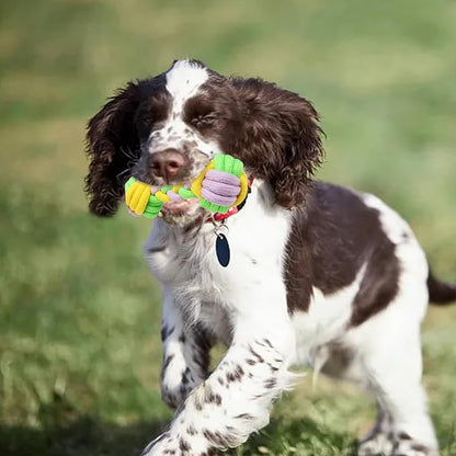 Candy Colored Rope Woven Toy, Durable Dumbbell Design Pet Teeth Grinding Mouth - Image 5