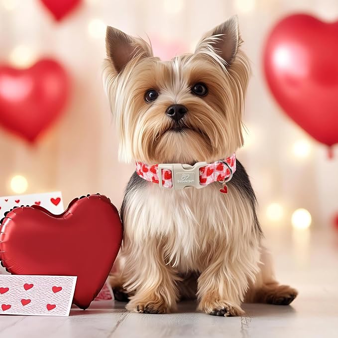 Valentines Dog Collar for Medium Dogs - Image 2