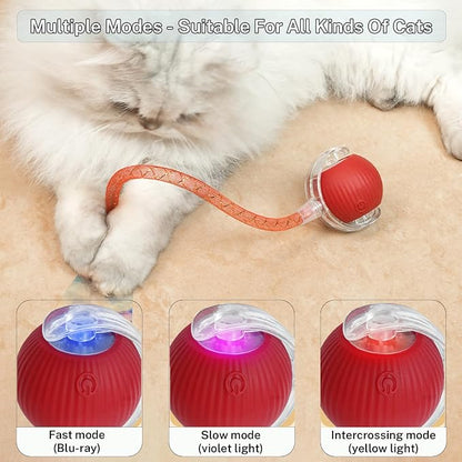 New Upgraded Cat Ball Toy - Image 5