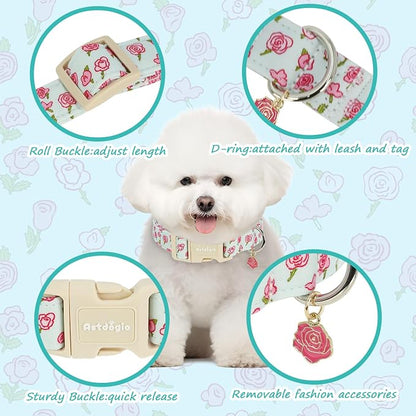 Dog Collar for Large Dogs, Spring &Summer Theme Blue Large Dog Collars - Image 2