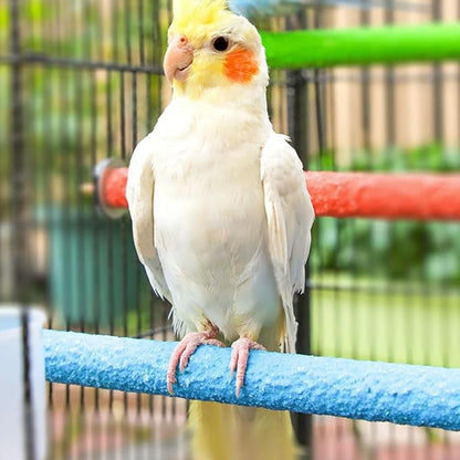 Hamiledyi 4 PCS Parrot Perch Stand Toy 7.9x0.8inch Bird Cage Perch Natural Paw - Image 3