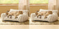 Bedsure Cute Cat Couch for Pets by BEDSURE