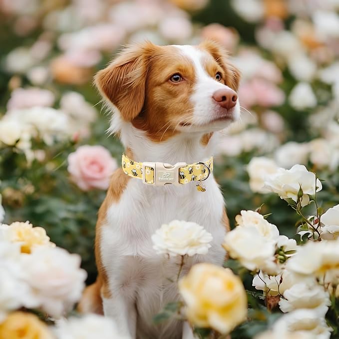 Bee & Daisy Dog Collar for Medium Dogs - Image 2