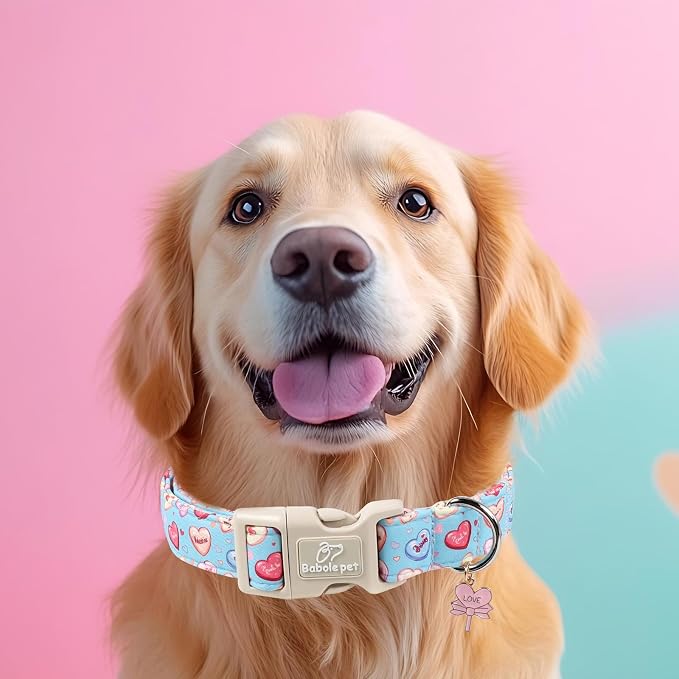 Valentines Dog Collar for Medium Dogs - Image 5
