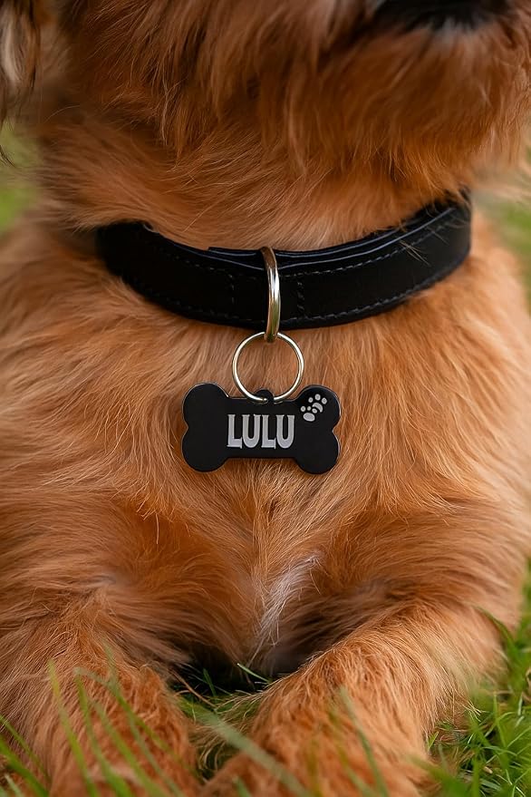 Stainless Steel Personalized Pet ID Tags, Art Design - Image 5