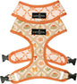 Lucy & Co. Cute Reversible Dog Harness Walking Halter by LucyCo