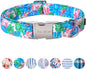 Unique Style Paws Metal Buckle Banana Leaves Dog Collar, Durable & Cute by Uniquestylepaws