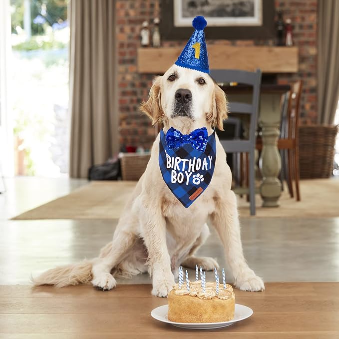 ADOGGYGO Dog Birthday Party Supplies - Image 2