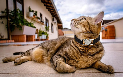 Heart Bling Cat Collar with Safety Belt and Bell Adjustable 8-10 inches - Image 5