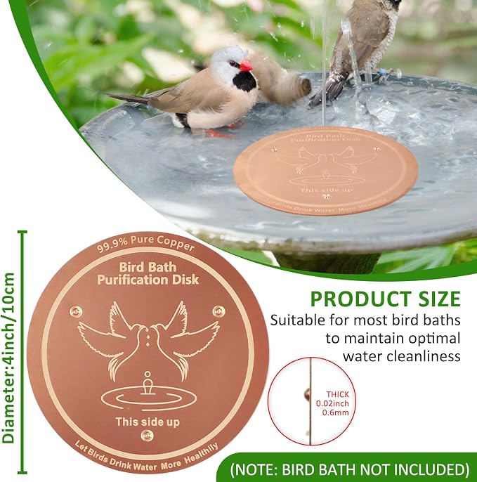 Bird Bath Copper Disk, 99.99% Pure Copper - Image 6