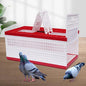 Folding Pigeon Cage with Handle, Portable Plastic Bird Travel Carrier Cage with by Unknown
