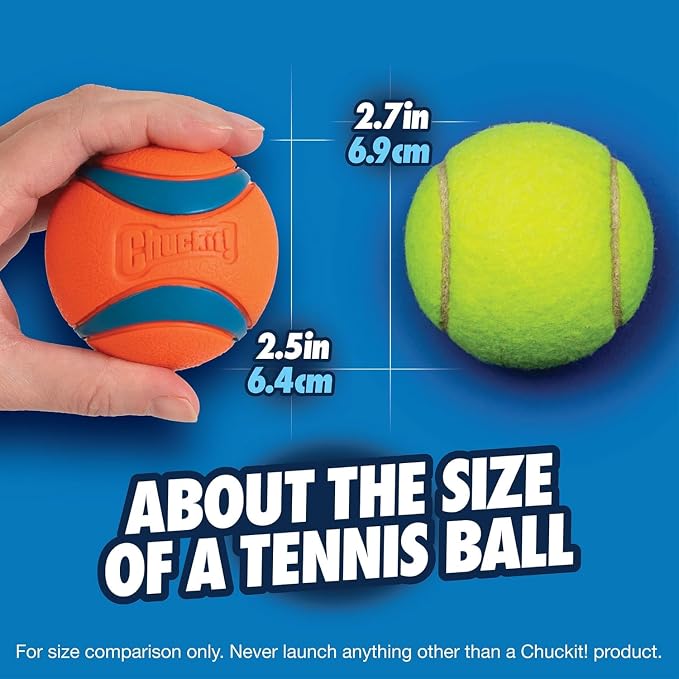 Chuckit! Ultra Ball Dog Toy - Image 3