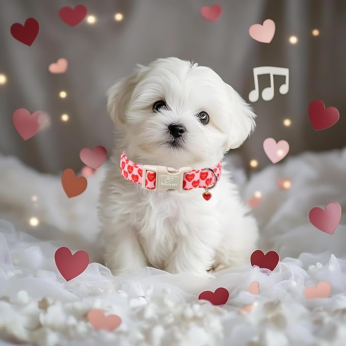 Valentines Dog Collar for Small Dogs - Image 7