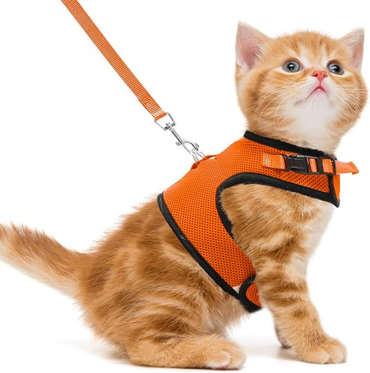 PUPTECK Soft Mesh Cat Vest Harness and Leash Set Puppy Padded Pet Harnesses by PUPTECK