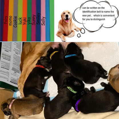 30 Pcs Puppy ID Collar Whelping Newborn Pet Collars Double-Sided Soft - Image 5