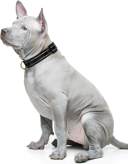 Reflective Dog Collar for Medium Dogs, Cute Camouflage Adjustable Heavy-Duty - Image 2