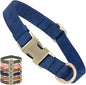 Genuine Leather Dog Collar by HOME