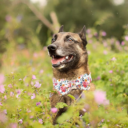 Lionheart glory Dog Collar Bow Collar Floral Dog Collar - Image 4