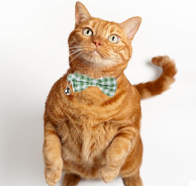 2 Pcs Bowtie Cat Collar with Bell Breakaway Cat Collars Cute Boy Kitten Collar - Image 3