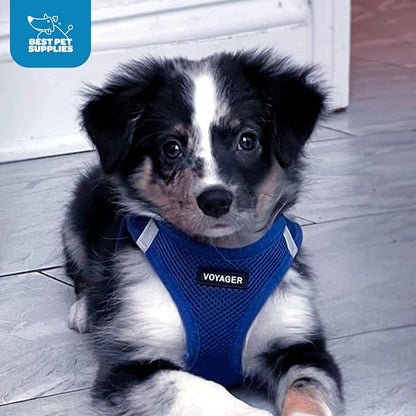 Best Pet Supplies Voyager Step-in Air Harness - Image 9