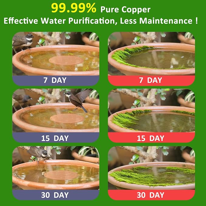 Bird Bath Copper Disk, 99.99% Pure Copper - Image 2