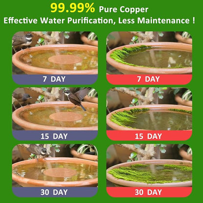 Bird Bath Copper Disk, 99.99% Pure Copper - Image 2