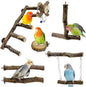 BNOSDM Natural Wood Bird Ladder Perch 6Pcs Parrot Stand Branches Climbing by BNOSDM