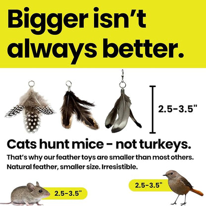 Feather Toys Replacements - Image 4